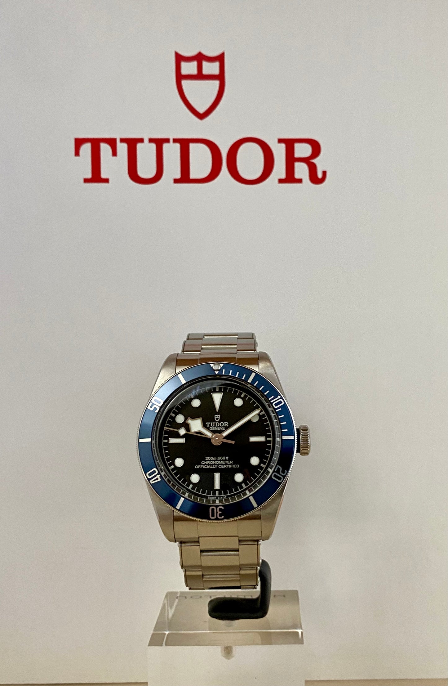 Tudor Black Bay - 79230B
